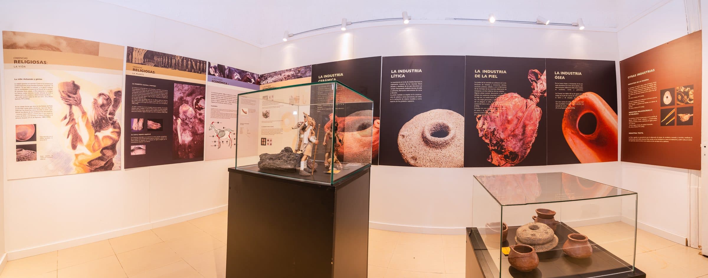 Sala de exposición con vitrinas