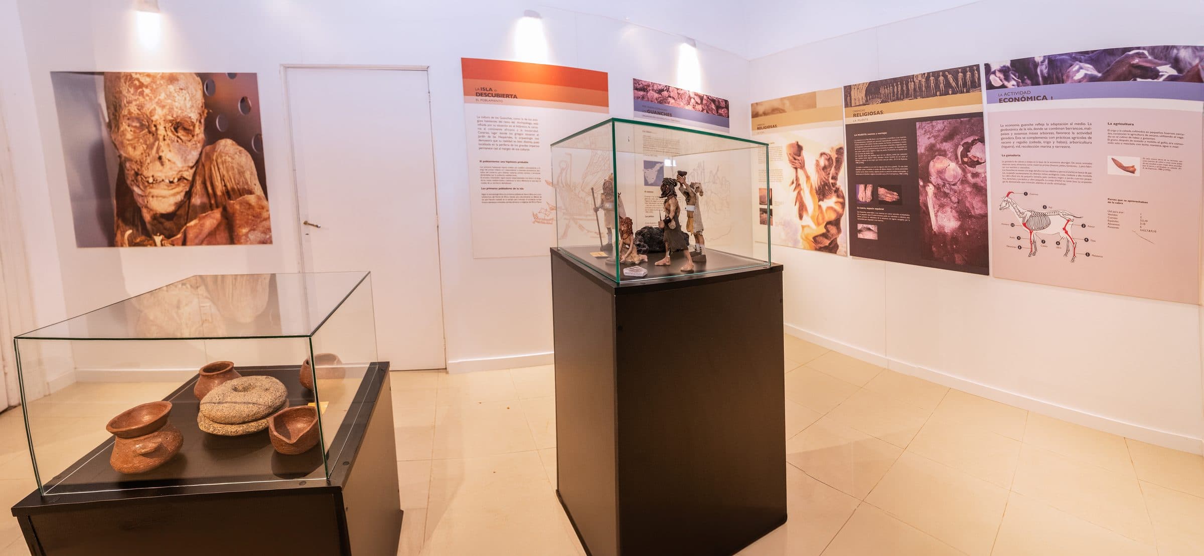 Vitrina central con piezas históricas