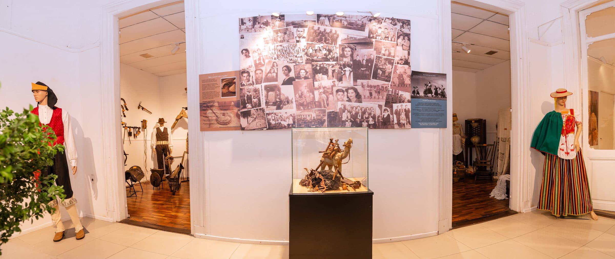 Ingreso y recorrido de salas